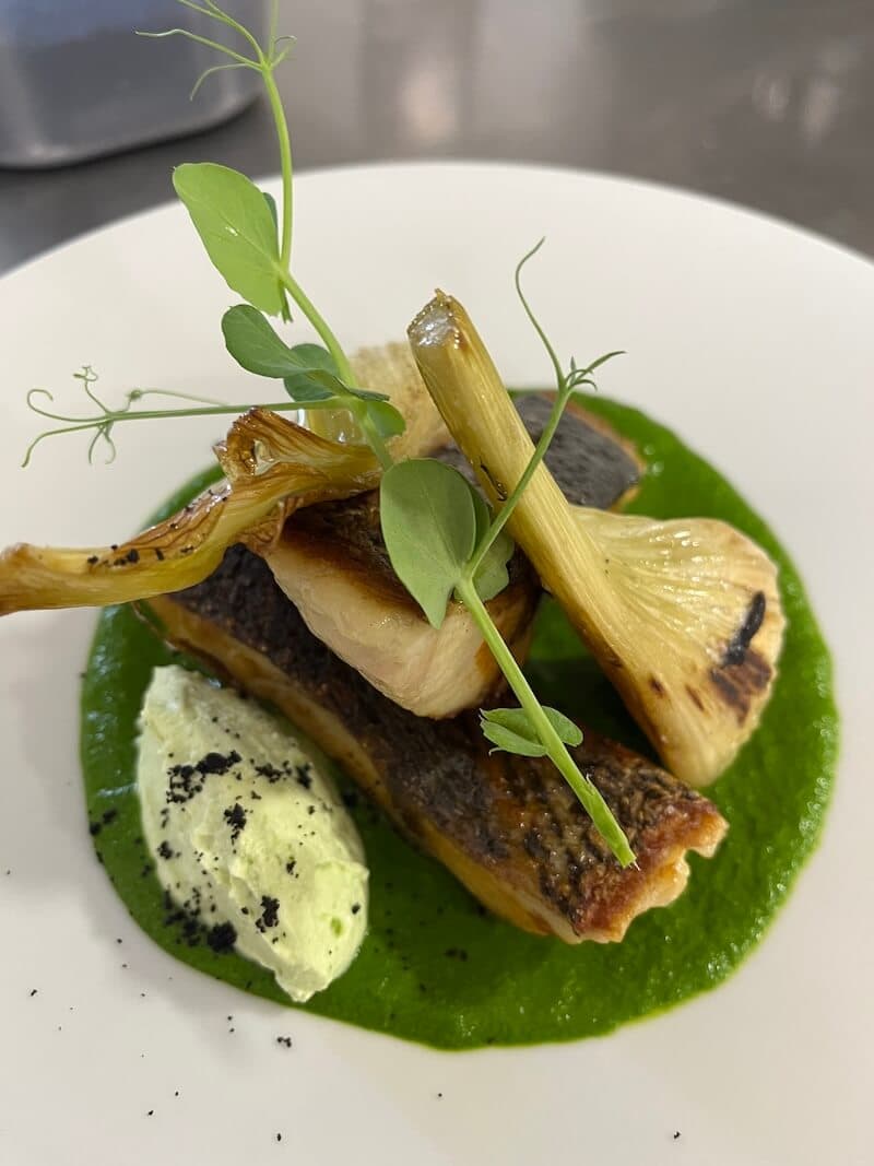 Grilled White Fish Fillet (Meagre)
